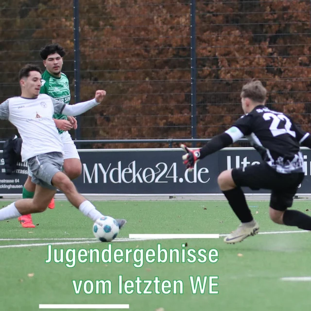 #jugend #wochenende #ergebnisse #spass #spiel #nachwuchs 

Am Samstag gab es ein geballtes Programm für unsere Jugend 💚🤍👌

Unsere F-Junioren machten den Anfang und zeigten eine tolle Leistung beim Kinderfussball gegen den @fcleusberg1962 . 

Im Anschluss musste unsere U10 leider deutlich dem @fc96recklinghausen III gratulieren, dafür holte unsere U15 3 ganz wichtige Punkte im Kampf um einen Platz in der KLA. Beim Tabellenzweitem @djksportfreundedatteln gab es einen 4:1-Erfolg und damit eroberten sich unsere Jungs Platz 2 💪

Unsere @sgsuderwich_u18 ist bereits mit einem Bein in der KLA angekommen, gegen den Tabellenletzten @fc26erkenschwick gab es einen ungefährdeten 15:0-Kantersieg 👏👏

Eine in der Höhe unerwartete Heimniederlage kassierte unsere A1 @sgsuderwich2004er beim 1:7 (0:1) gegen den @svs2020_official . Die erste Hälfte verlief noch ausgeglichen und kurz vor der Pause hatten unsere Jungs per Strafstoß sogar die Chance zum Ausgleich, doch der Keeper der Gäste konnte den Elfer parieren 😔 Im zweiten Durchgang waren die Gäste dann eiskalt und schraubten das Ergebnis auf 1:7 hoch 🤨

Auch unsere U13 sowie unsere B-Jugend Teams U17 & U17 2 mussten am Samstag leider ihren Gegner gratulieren. Die U13 unterlag bei der @etg_fussballabteilung mit 1:4, die U17 2 unterlag an gleicher Stelle mit 2:8. 🥺 Unsere U17 verlor im letzten Spiel des Tages mit 1:6 gegen @bwwl_jugend .

#wirsindsurk #wirhaltenzusammen #teamgeist